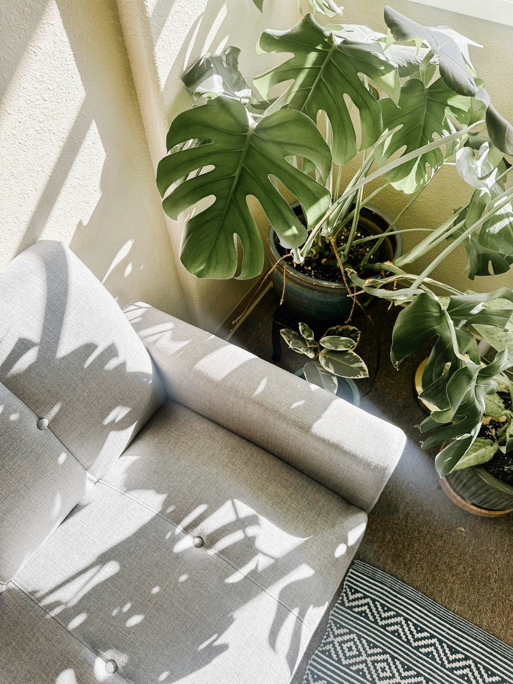 A linen armchair in a sunlit corner beside a large monstera plant, soft shadows across the room