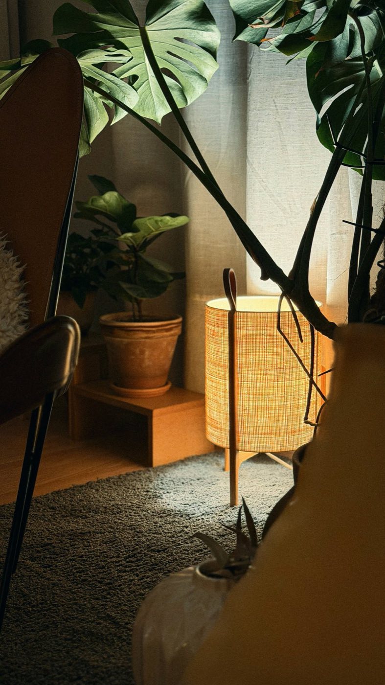 A cozy armchair corner with a leafy plant and a warm lamp glowing softly